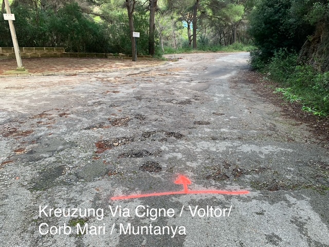 2025_10_27 Markierungen Cigne-Voltor-Corb Mari-Muntana (5)