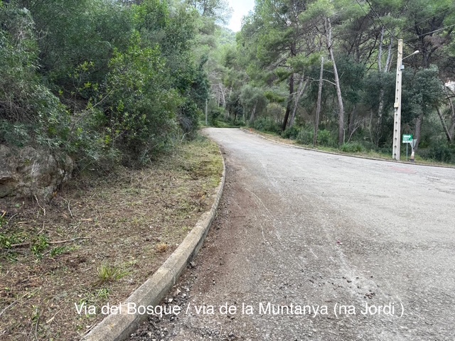 Reinigung Kreuzung Bosque-Montana (1)