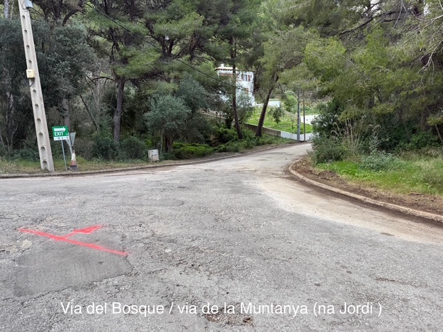 Reinigung Kreuzung Bosque-Montana (4)